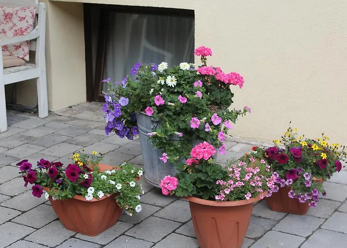 Aktivurlaub Morandell Guest house Solden